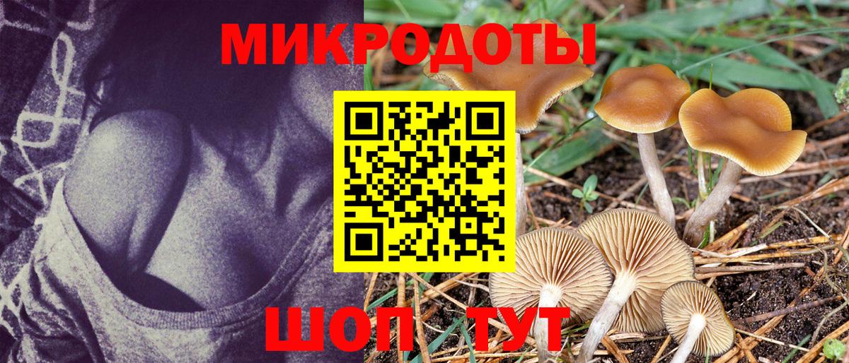 Галлюциногенные грибы Cubensis  Вход с VPN  Псилоцибиновые грибы Psilocybine cubensis  Ижевск 