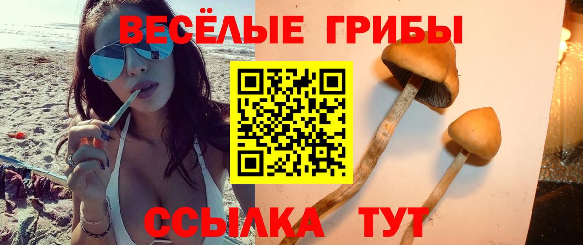 Псилоцибиновые грибы GOLDEN TEACHER Ижевск